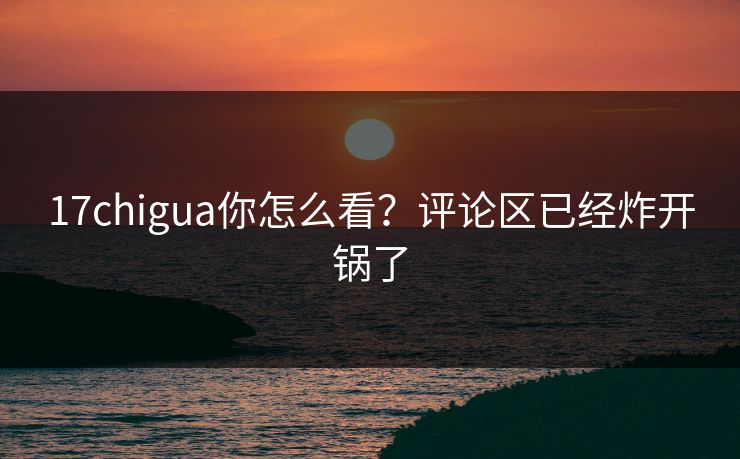 17chigua你怎么看？评论区已经炸开锅了