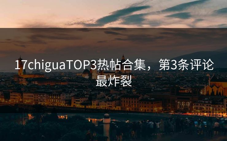 17chiguaTOP3热帖合集，第3条评论最炸裂