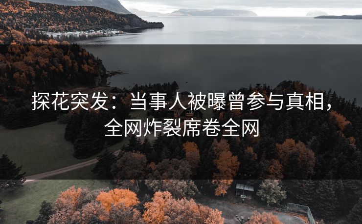 探花突发：当事人被曝曾参与真相，全网炸裂席卷全网
