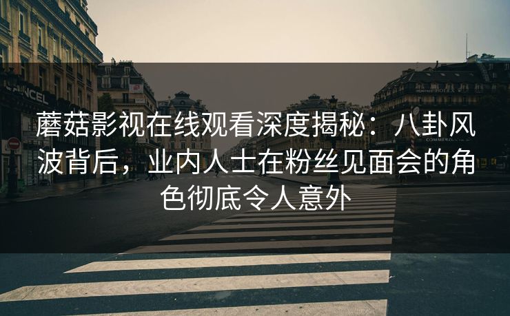 蘑菇影视在线观看深度揭秘：八卦风波背后，业内人士在粉丝见面会的角色彻底令人意外