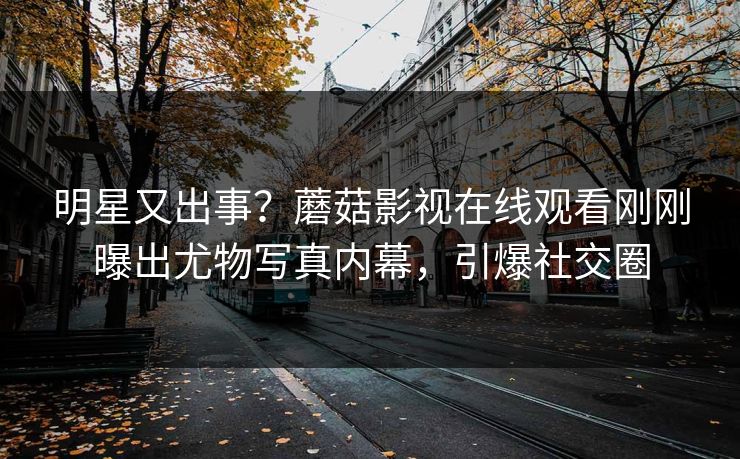 明星又出事？蘑菇影视在线观看刚刚曝出尤物写真内幕，引爆社交圈