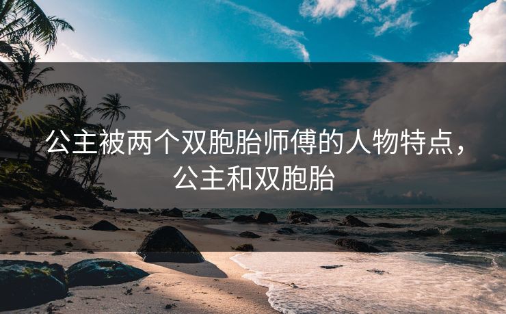 公主被两个双胞胎师傅的人物特点，公主和双胞胎