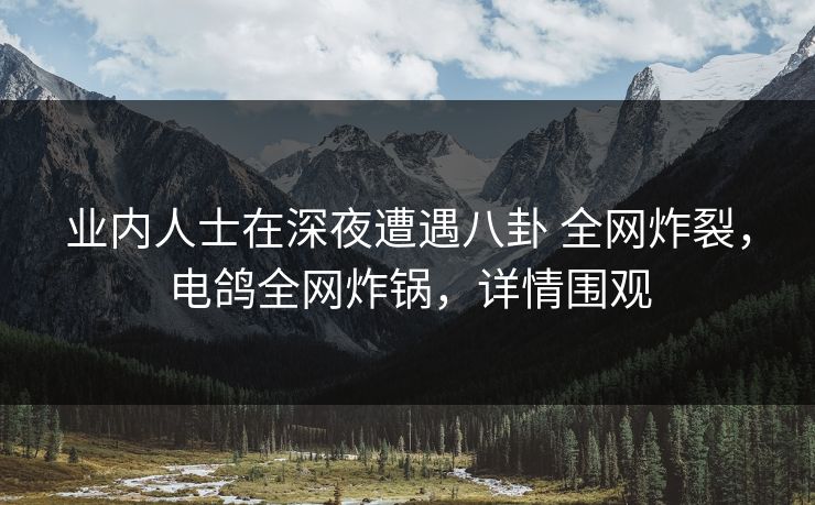 业内人士在深夜遭遇八卦 全网炸裂，电鸽全网炸锅，详情围观