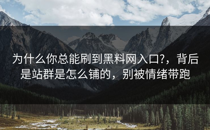 为什么你总能刷到黑料网入口?,背后是站群是怎么铺的,别被情绪带跑 为什么你总能刷到黑料网入口?,背后是站群是怎么铺的,别被情绪带跑